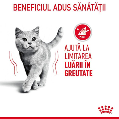 Royal Canin Light Weight Care – Hrană Uscată pentru Pisici Adulte – 8 kg